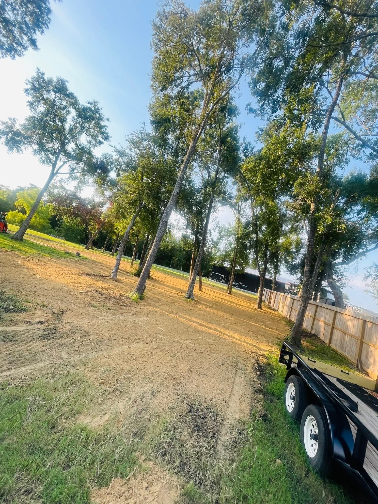 Rural property cleared at golden hour with tall trees — Thorne Works Solutions