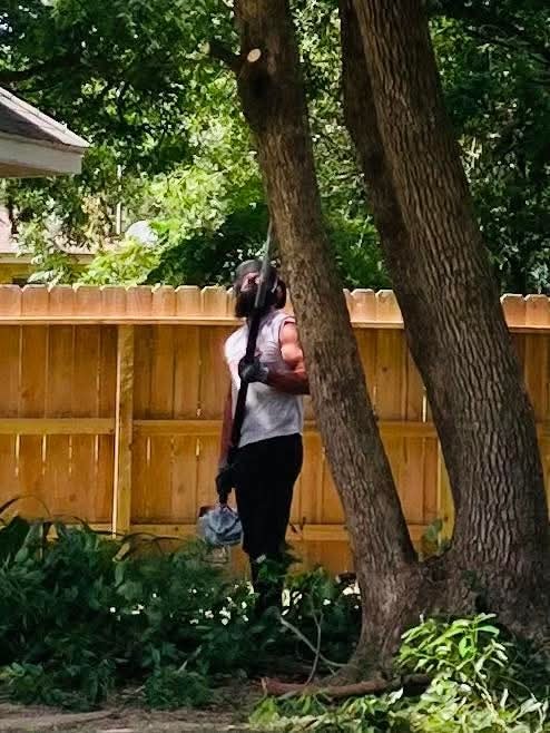 Tree removal with chainsaw on Texas property