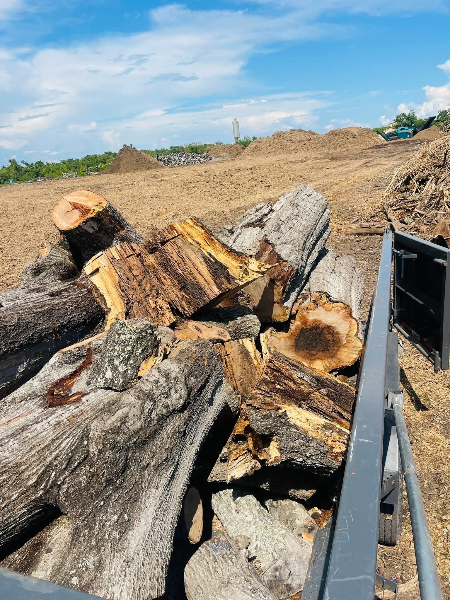 Trailer loaded with logs after tree removal — Thorne Works Solutions